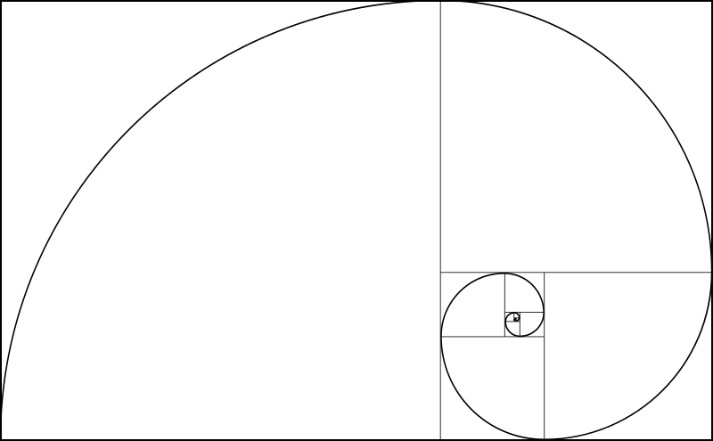 Image result for fibonacci spiral art