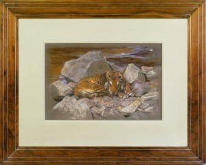 ARTHUR WARDLE A tiger resting amongst rocks